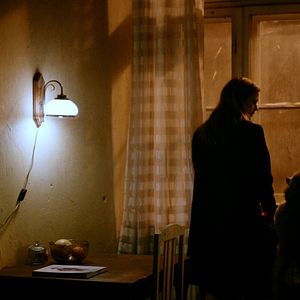 Bilder Dogs Don't Wear Pants