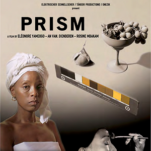 Bilder Prism