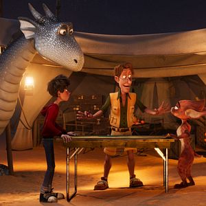 Bilder Drachenreiter