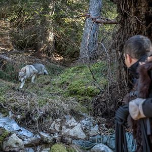 Bilder Du gegen die Wildnis: Abgestürzt