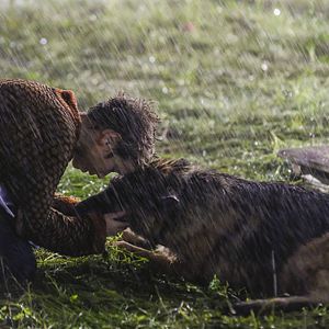 Bilder Ein Hund namens Palma