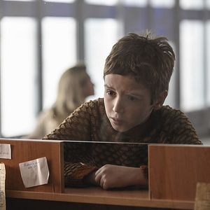 Bilder Ein Hund namens Palma