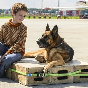 Bilder Ein Hund namens Palma