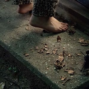 Bilder Der Kastanienmann