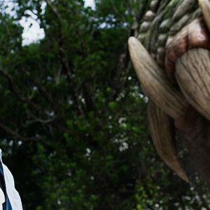 Bilder Crocodile Island