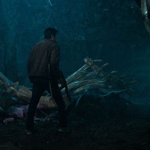 Bilder Crocodile Island