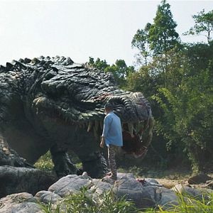 Bilder Crocodile Island