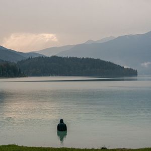 Bilder Die Rettung der uns bekannten Welt