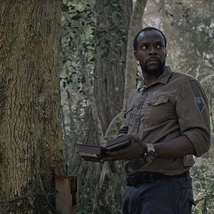 Bilder Gaia - Grüne Hölle