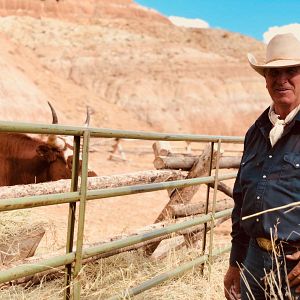 Bilder Meine Helden waren Cowboys