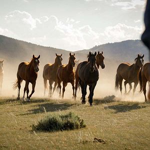 Bilder Meine Helden waren Cowboys