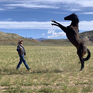 Bilder Meine Helden waren Cowboys