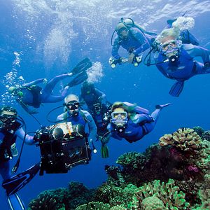 Bilder Wonders Of The Sea