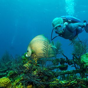 Bilder Wonders Of The Sea