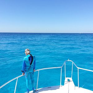 Bilder Wonders Of The Sea