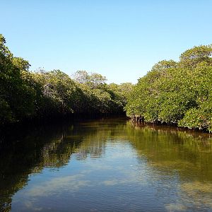 Bilder Wonders Of The Sea