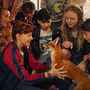 Bilder Die Schule der magischen Tiere