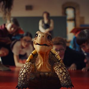 Bilder Die Schule der magischen Tiere