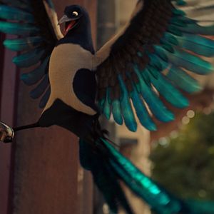 Bilder Die Schule der magischen Tiere