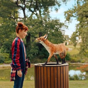 Bilder Die Schule der magischen Tiere