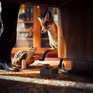 Bilder Die Schule der magischen Tiere