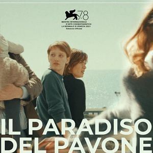 Bilder Das Pfauenparadies