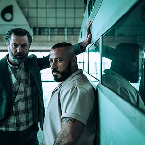 Bilder Im Auge des Wolfes