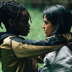 Bilder Im Auge des Wolfes