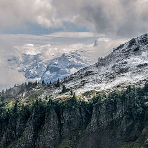 Bilder Wild - Jäger und Sammler