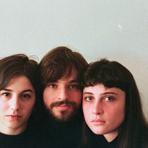 Bilder Os Pássaros de Massachusetts