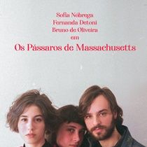 Bilder Os Pássaros de Massachusetts