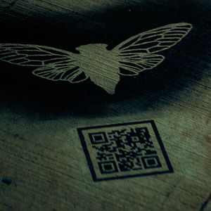 Bilder Dark Web: Cicada 3301