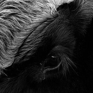 Bilder Her Name Was Europa