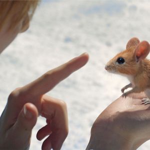 Bilder Ein Junge namens Weihnacht