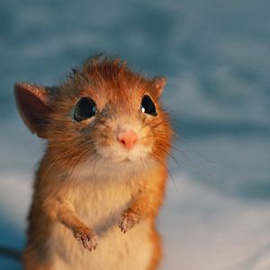 Bilder Ein Junge namens Weihnacht