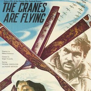 Bilder Wenn die Kraniche ziehen