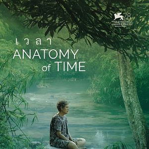 Bilder Anatomy Of Time