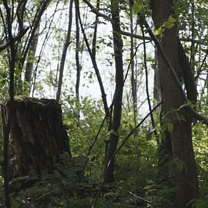 Bilder The House At Night