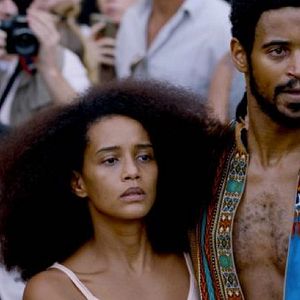 Bilder Medida Provisória