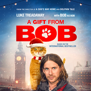 Bilder Ein Geschenk von Bob