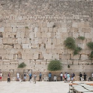 Bilder Die jungen Kadyas