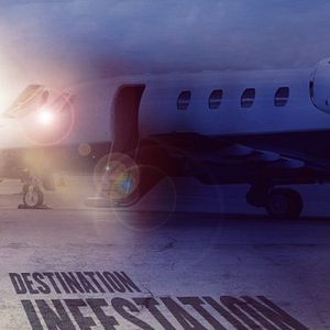 Bilder Ants On A Plane