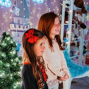 Bilder Twinkle All The Way - Die Weihnachtsplanerin