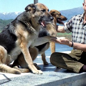 Bilder Colonia Dignidad: Eine deutsche Sekte in Chile