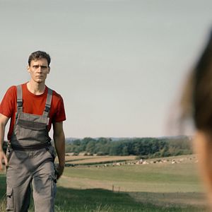 Bilder Niemand ist bei den Kälbern