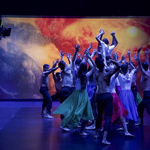 Bilder El rey de todo el mundo