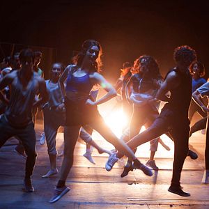 Bilder El rey de todo el mundo