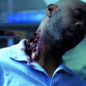 Bilder Aquarium Of The Dead