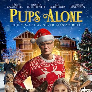 Bilder Hunde - allein zu Haus