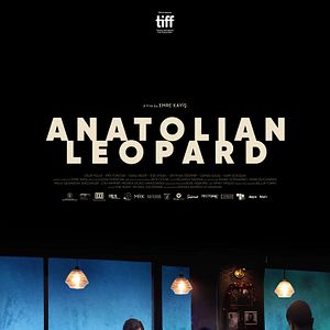 Bilder Der anatolische Leopard